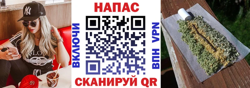 МАРИХУАНА сатива  Фёдоровский 